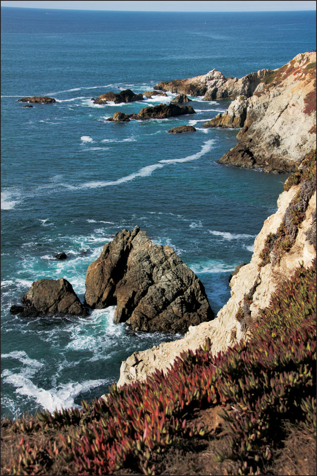 This view north from Bodega Head is typical of the spectacular Sonoma County - photo 2