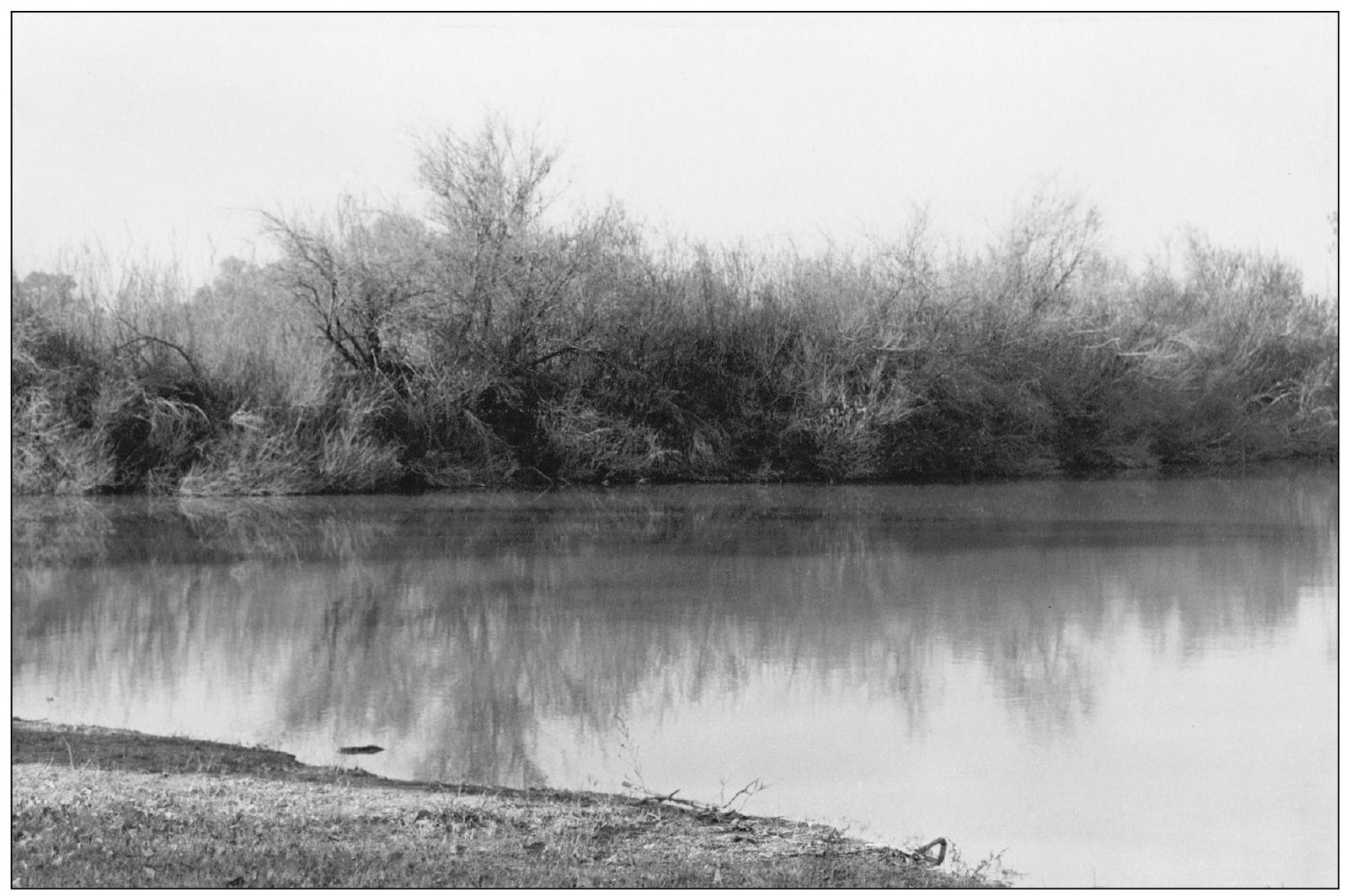 Just east of the present site of Willows there was a great water hole shaded - photo 3