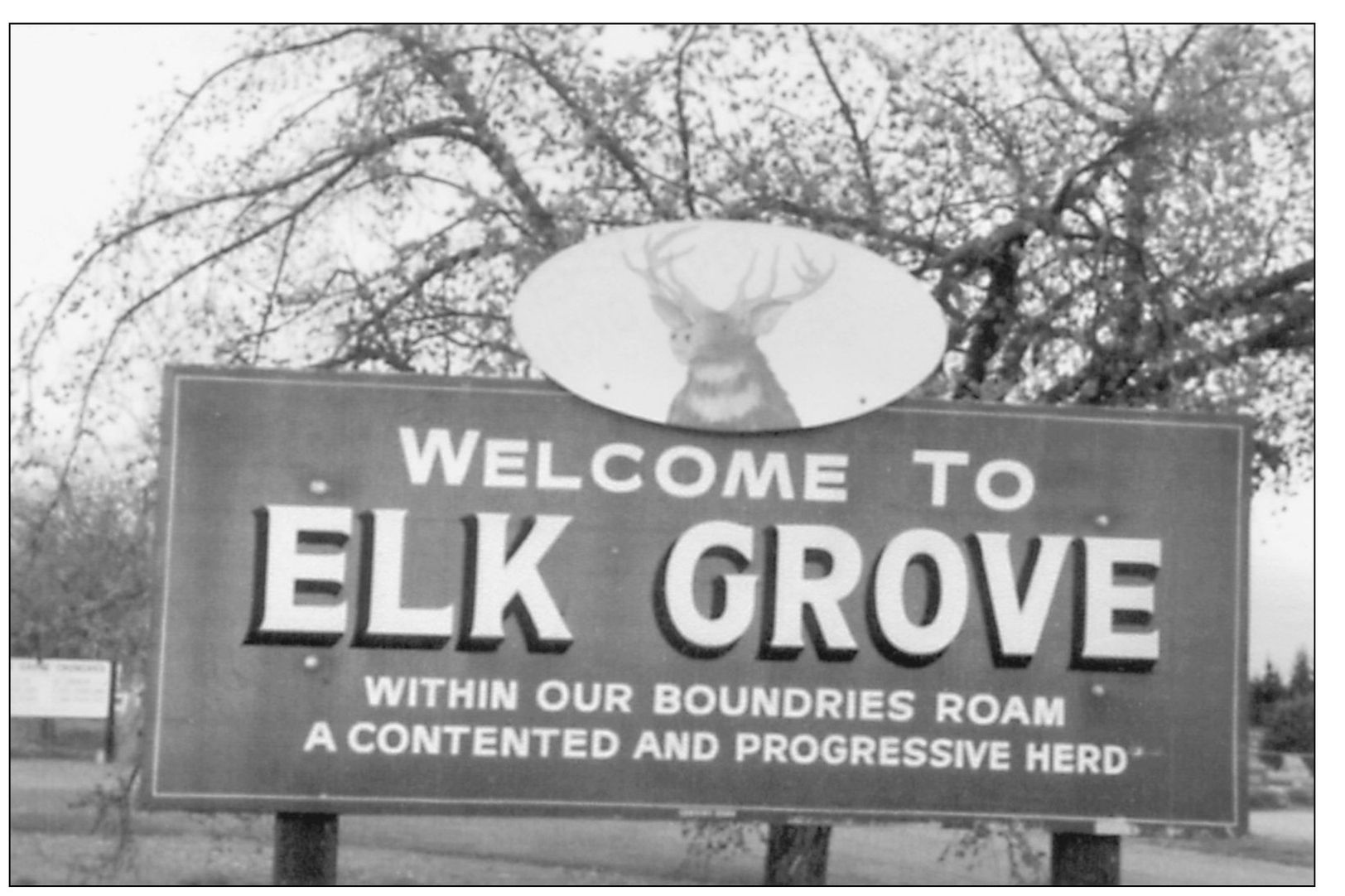 This is the sign that introduced people to Elk Grove long before it became a - photo 3