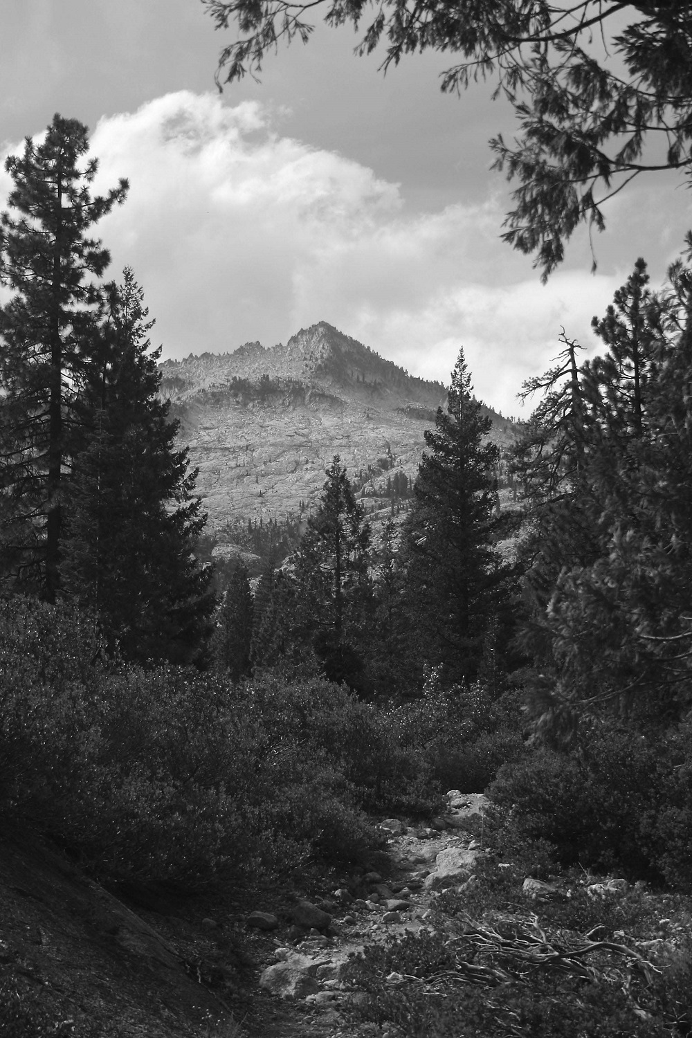 Trinity Alps and Vicinity A Hiking and Backpacking Guide Including - photo 2