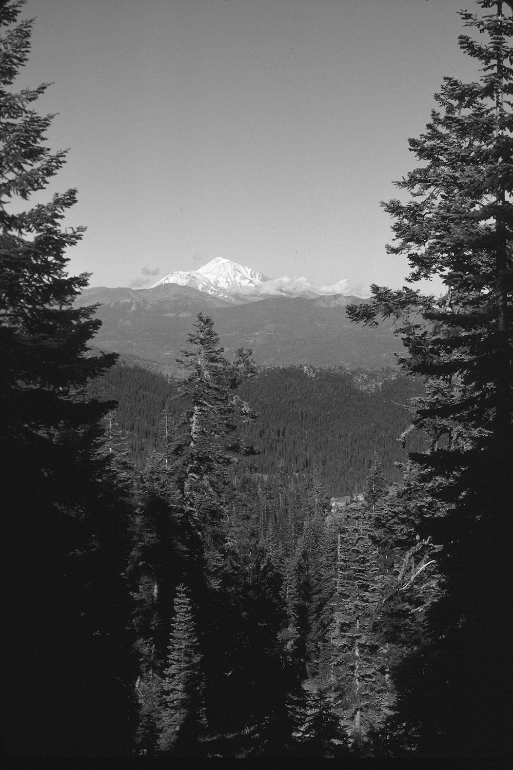Mt Shasta from Eagle Divide CHAPTER 1 Introduction to the Area I magine for a - photo 11