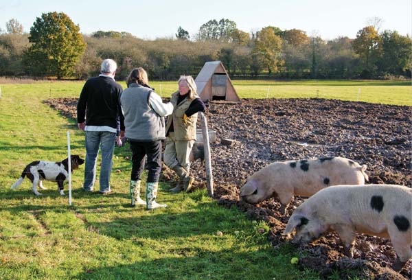 INTRODUCTION Smallholders come in all shapes and sizes Some just grow fruit - photo 5