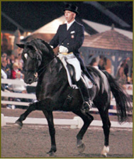 The key to training success is our understanding of the principles of dressage - photo 5