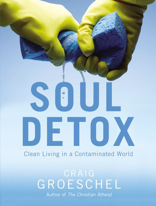 Soul Detox Clean Living in a Contaminated World - image 1