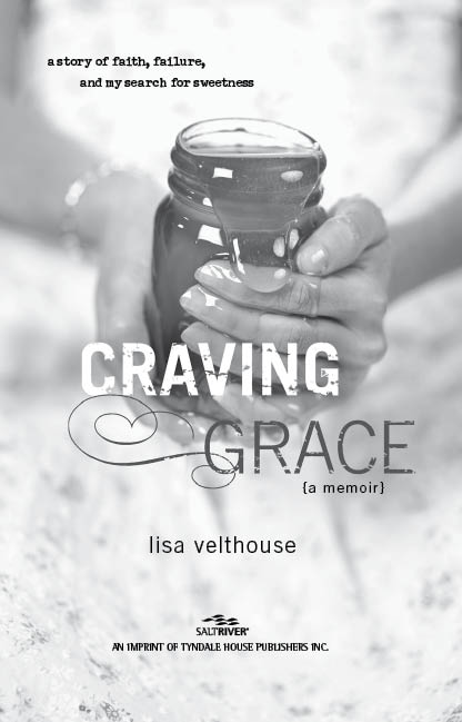 Advance Praise for Craving Grace Lisa writes with energy and honesty about - photo 2