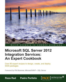 Reza Rad Microsoft SQL Server 2012 Integration Services: An Expert Cookbook