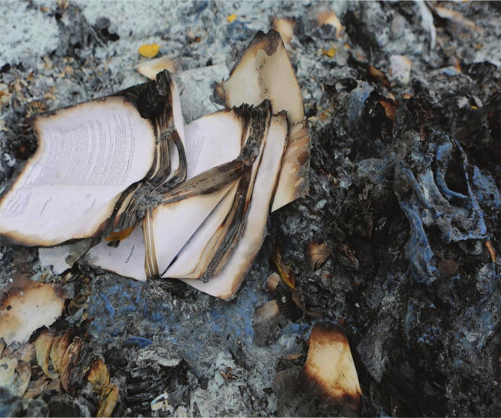 The burning of a book is a sad sad sight for even though a book is nothing - photo 1