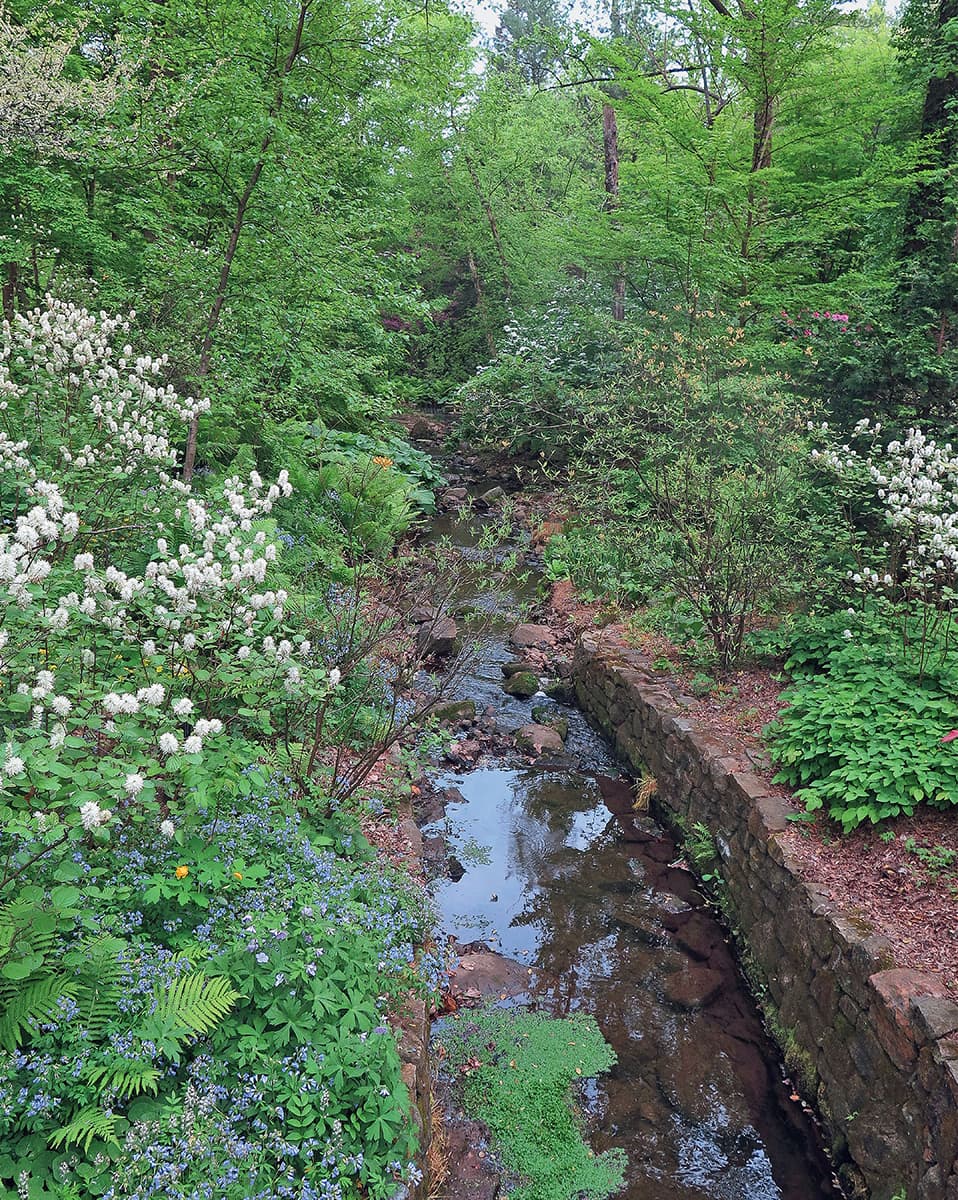 A shrub-lined stream bank at Chanticleer Garden in Wayne Pennsylvania - photo 5