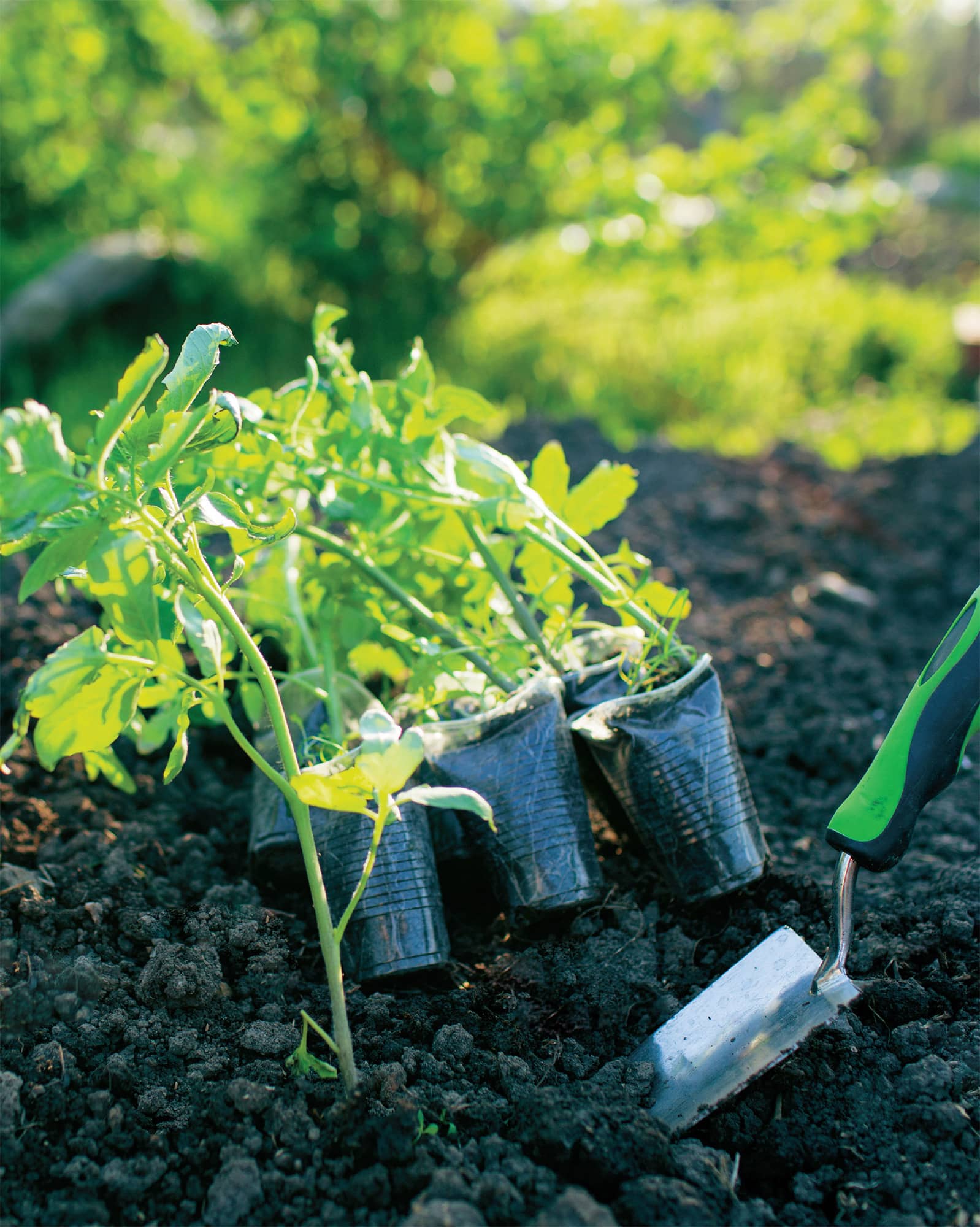 an introduction to vegetable gardening by Susan Sides I farm the soil that - photo 4