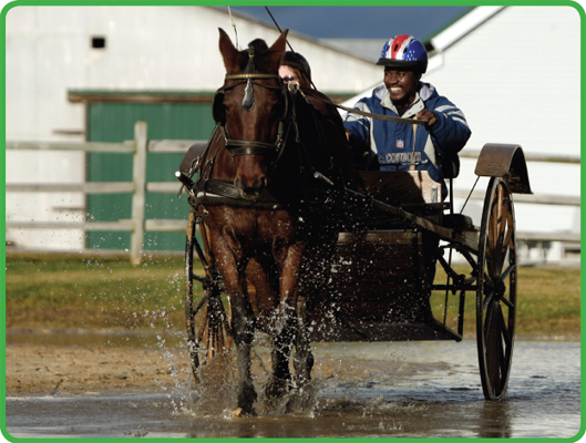 Image Credit AP Images Pat Wellenbach This man is carriage driving at a - photo 8