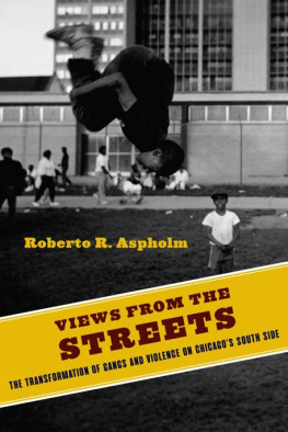 Roberto Aspholm - Views from the Streets (Studies in Transgression)