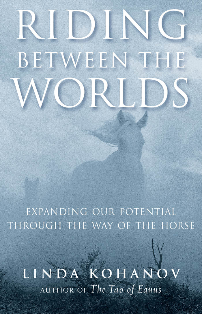 More praise for Riding between the Worlds For those who have not discovered - photo 1