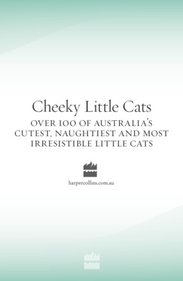 Various Cheeky Little Cats