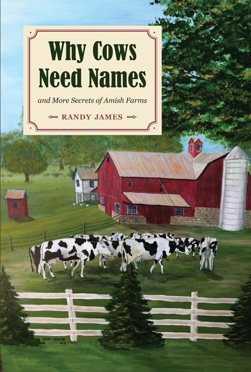 Why Cows Need Names Why Cows Need Names and More Secrets of Amish Farms - photo 1