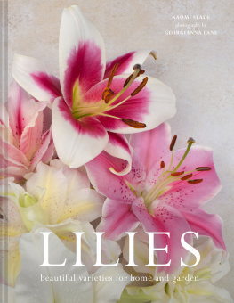 Naomi Slade Lilies: Beautiful Varieties for Home and Garden