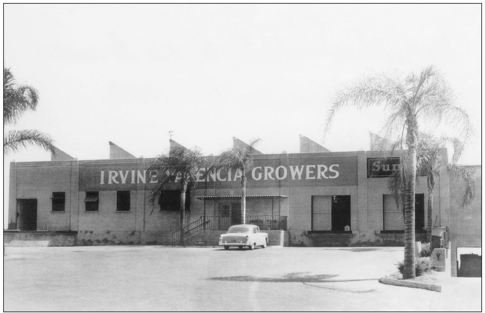 This c 1930s image shows the Irvine Valencia Growers packinghouse built in - photo 6