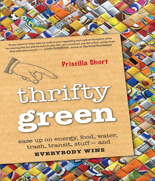 Praise for Thrifty Green This inspirational guide demonstrates the extent to - photo 1