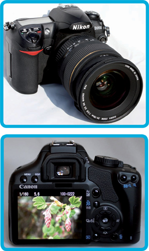 When digital photography was in its infancy the concept of digital SLR Single - photo 4