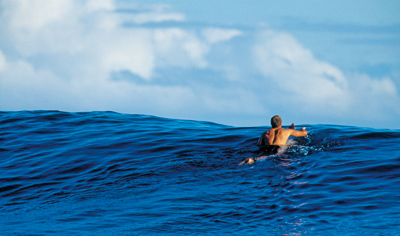 Foreword In the SPRING of 1963 this guy walked into OLE SURFBOARDS on Bay - photo 6