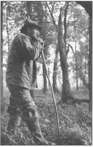 Leaning on his walking stick Kenny pauses to watch the woods Photograph Mary - photo 2