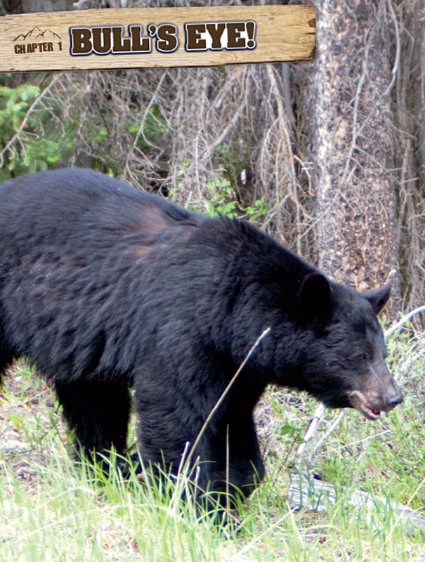 Its your third day out from camp You picked up the trail of a black bear - photo 2