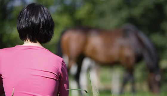 When we observe horses in a pasture we can study the range of their possible - photo 7