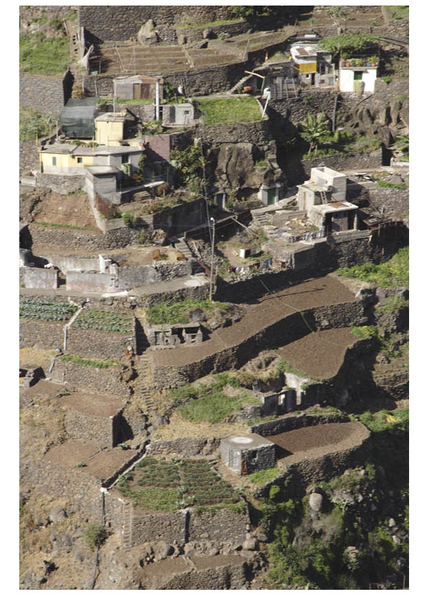 Impossibly steep terraces and tiny cultivated plots produce abundant crops of - photo 6