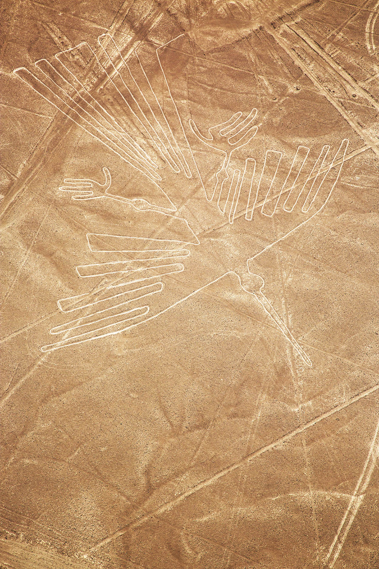 Nazca lines Giant etchings of animals and geometric figures created many - photo 9