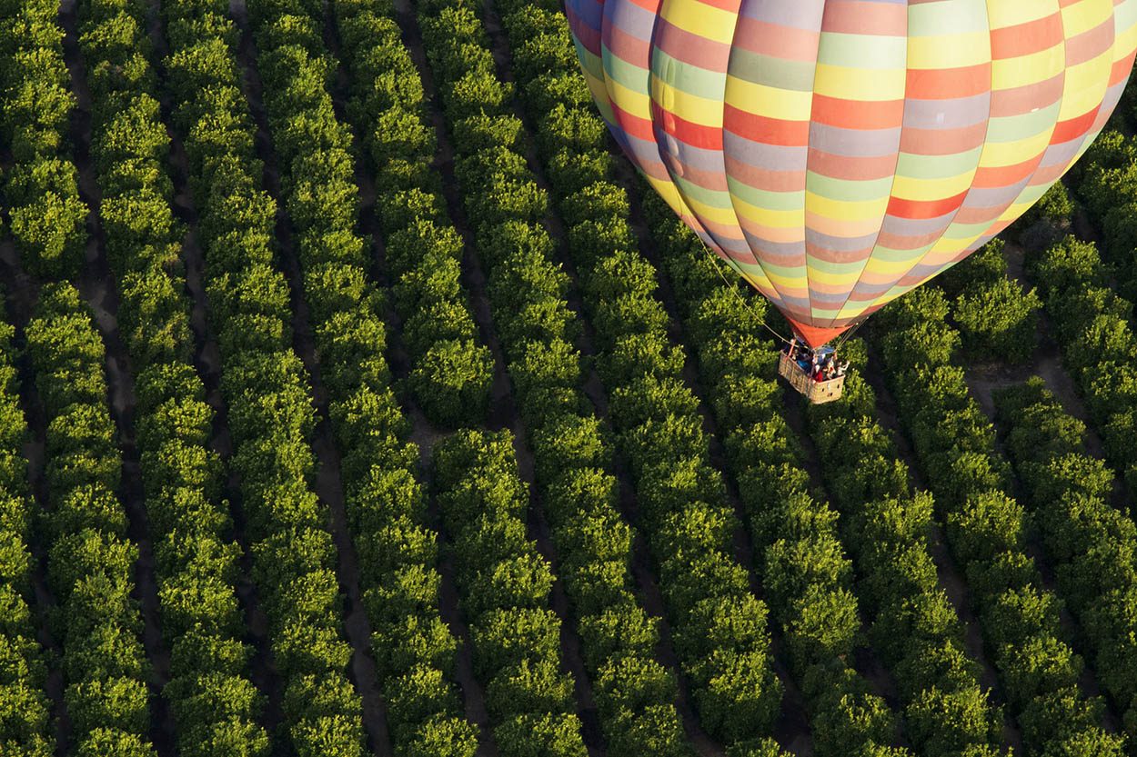 Californias Wine Country Emerald vineyards lush red wines warm sunshine - photo 6