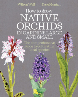 Wilson Wall - How to Grow Native Orchids in Gardens Large and Small: the comprehensive guide to cultivating local species