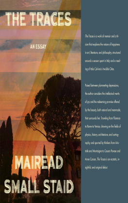 Mairead Small Staid - The Traces: An Essay