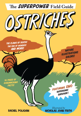 Rachel Poliquin Ostriches