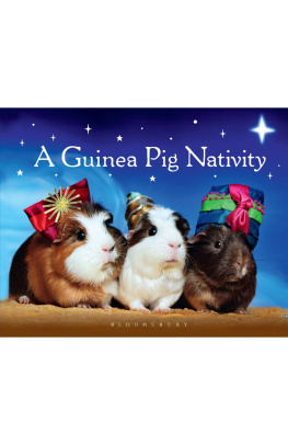 Bloomsbury Publishing A Guinea Pig Nativity