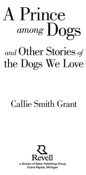 2007 by Callie Smith Grant Published by Revell a division of Baker Publishing - photo 1