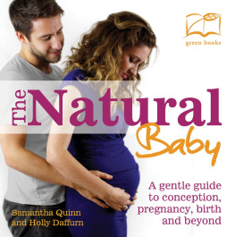 Samantha Quinn - The Natural Baby: A gentle guide to coneption, pregnancy, birth and beyond