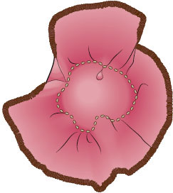 Using a removable marker draw the three carnation placement circles from the - photo 11