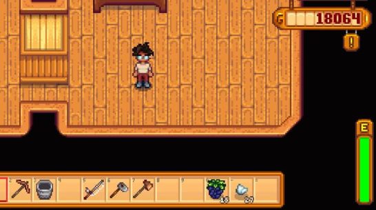 When you 1st come to Stardew Valley you actually cant do much Ensure that - photo 1