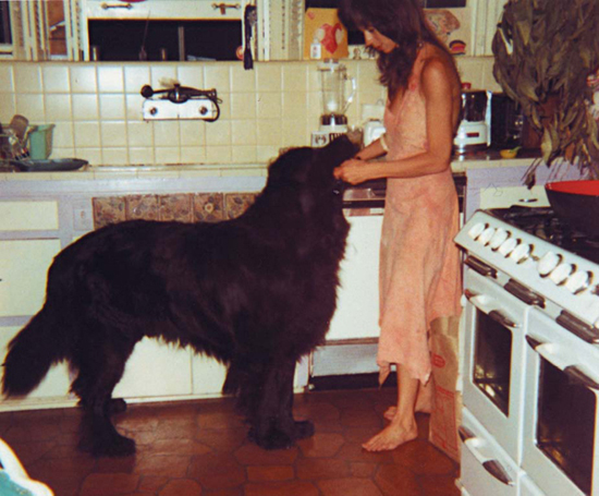 Me and Max in my Benedict Canyon kitchen Personal collection The Dinah - photo 23