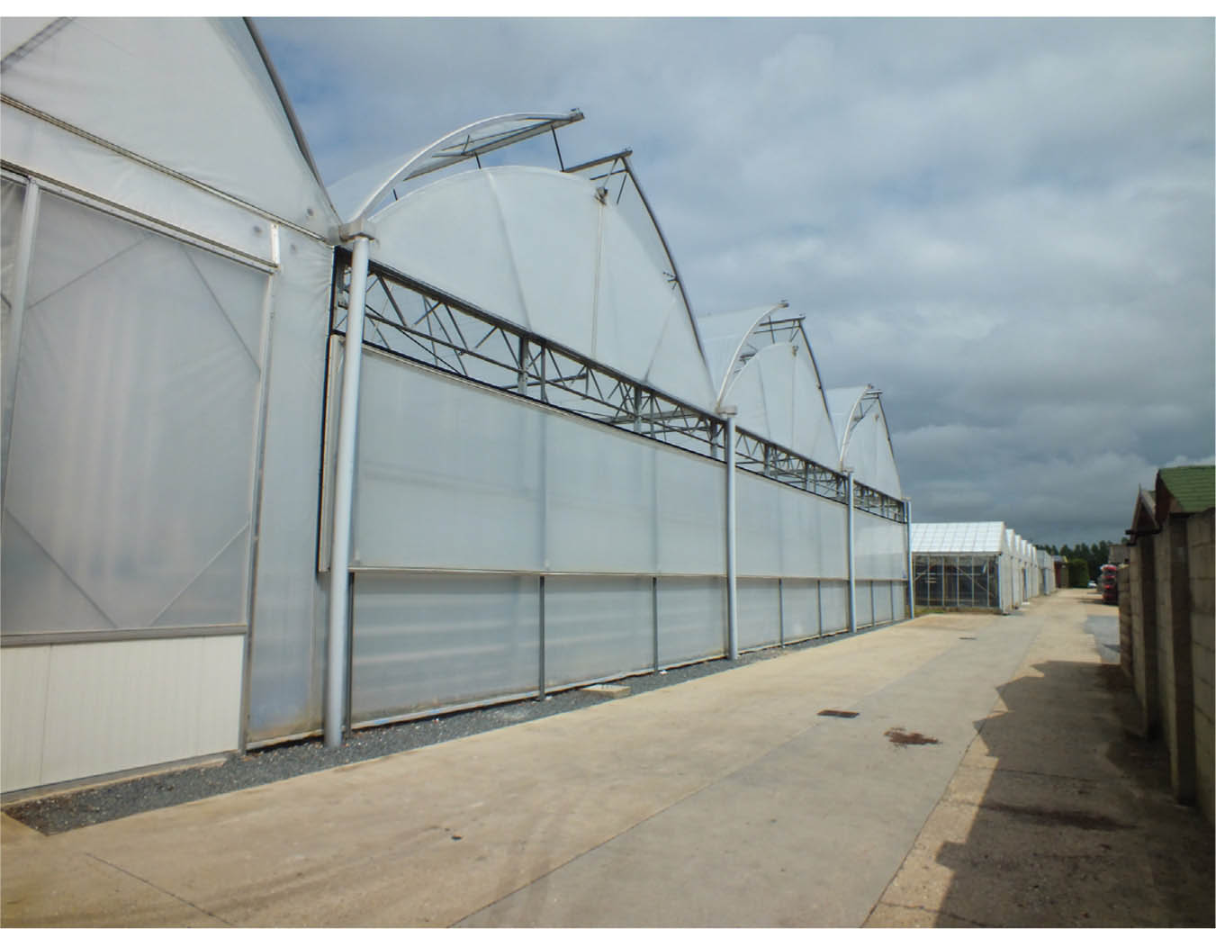 Polytunnels Greenhouses and Protective Cropping Polytunnels Greenhouses and - photo 1