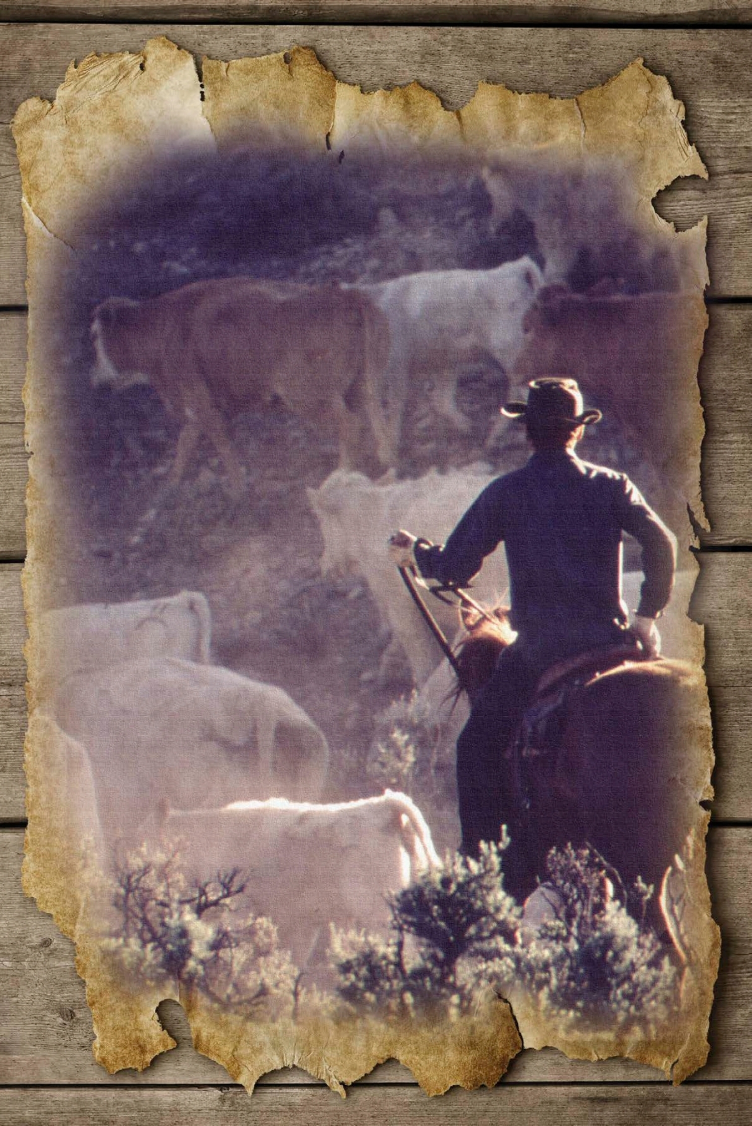 Cowboys played a key role in the cattle trade which was important to the - photo 7