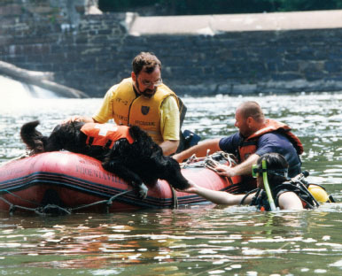 The revised edition of READY Training the Search and Rescue Dog has taken as - photo 3