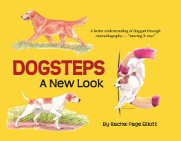 Rachel Page Elliott - Dogsteps: A New Look