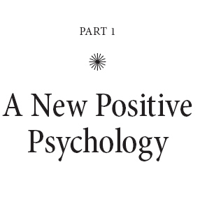 Flourish A Visionary New Understanding of Happiness and Well-being - image 4