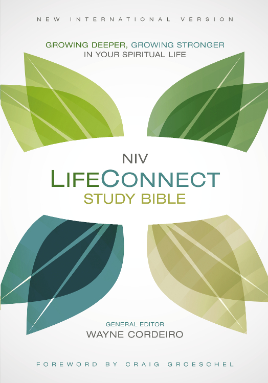 NIV LifeConnect Study Bible Growing Deeper Growing Stronger in Your Spiritual Life - image 1