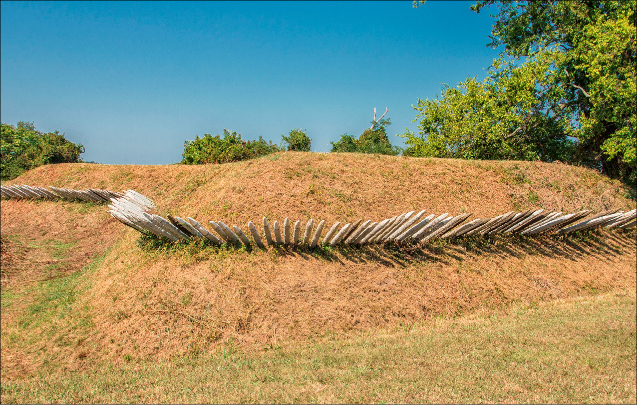 Sharp spikes were placed around British outposts to help prevent enemy attacks - photo 6