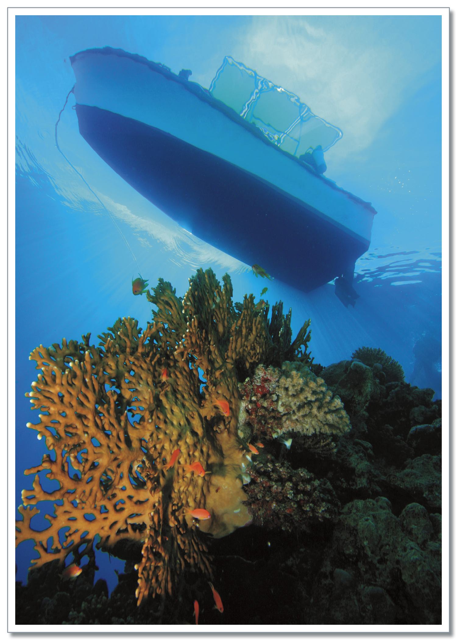 Sharp coral reefs can sometimes cause boat accidents It seems odd that you - photo 3