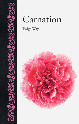 Twigs Way Carnation