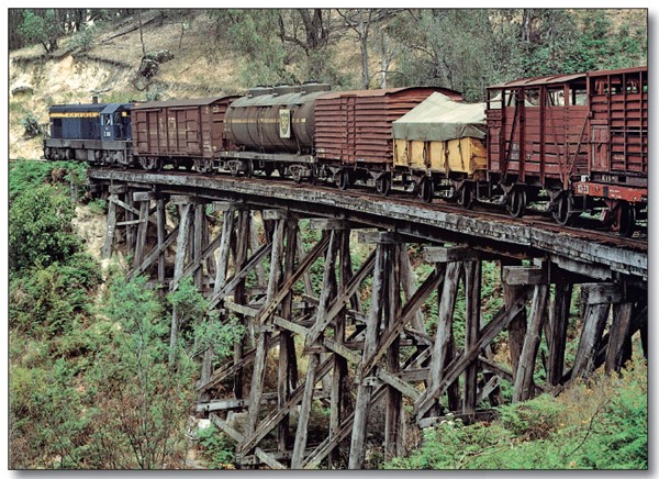 In January 1978 T413 leads a Cudgewa to Wodonga goods downhill towards - photo 4