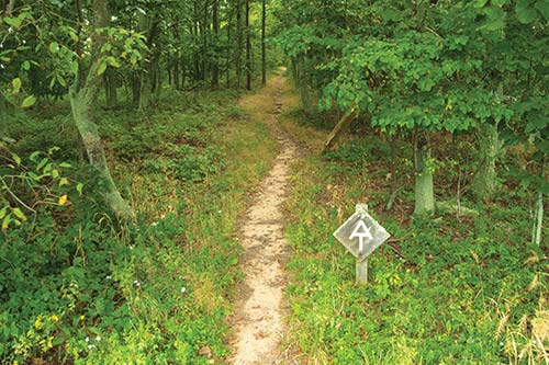 the Appalachian Trail in Shenandoah National Park Central and Southern - photo 13