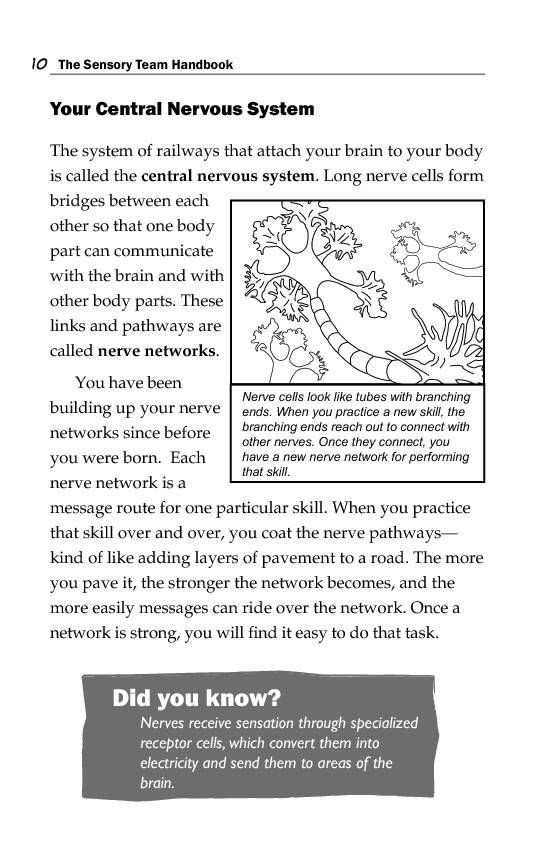 The Sensory Team Handbook A hands-on tool to help young people make sense of their senses and take charge of their sensory processing - photo 19